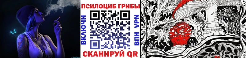 купить наркотик  Чухлома  Псилоцибиновые грибы GOLDEN TEACHER 